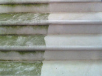 Outdoor Limestone Stairs