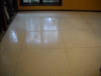 Terrazzo Restoration