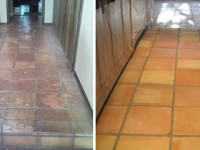 Saltillo & Mexican Tile