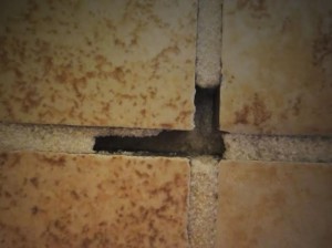 Hollow Tiles