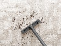 PRO Tips for How to Deal With Carpet Odors